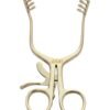 mastoid retractor