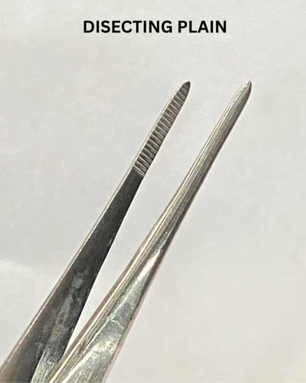 MCANDO DISECTING PLAIN