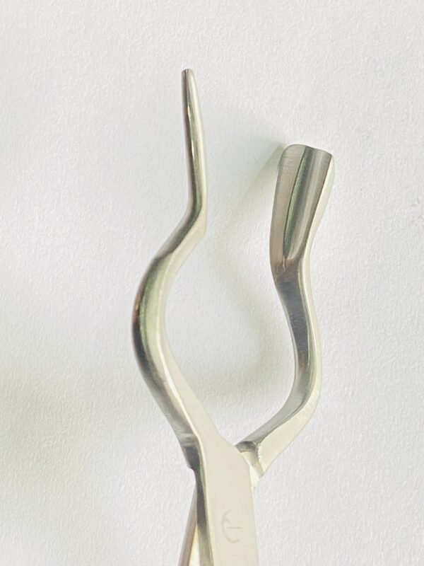 WhatsApp Image 2025-04-29 at 5.24.56 PM ASH FORCEP