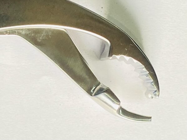 PLATE HOLDING FORCEP 6"