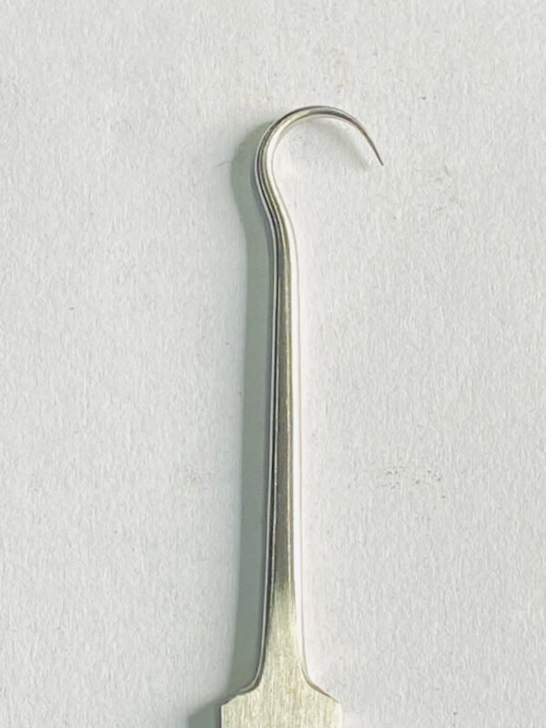 WhatsApp Image 2025-04-30 at 1.10.18 PM bone hook