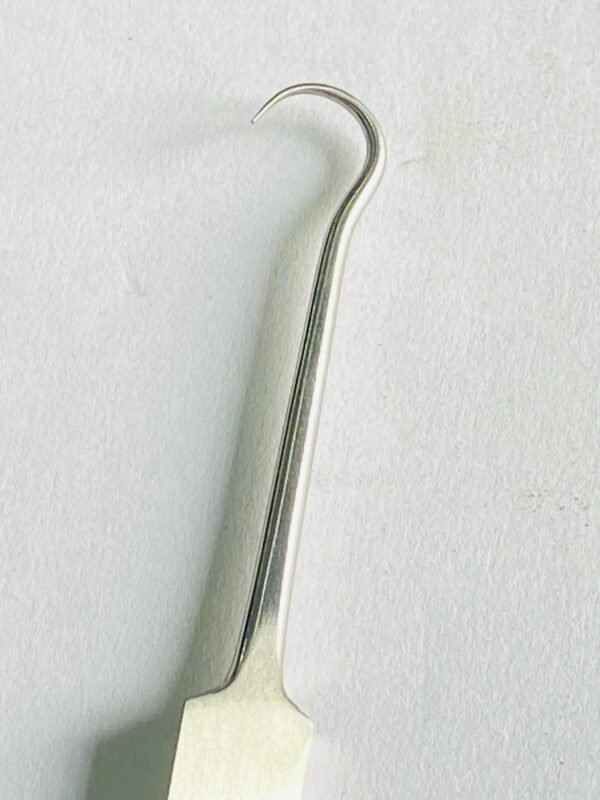 WhatsApp Image 2025-04-30 at 1.10.19 PM bone hook