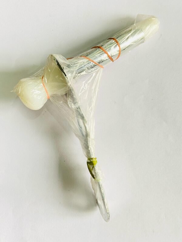 PRACTOSCOOP FULL CUT