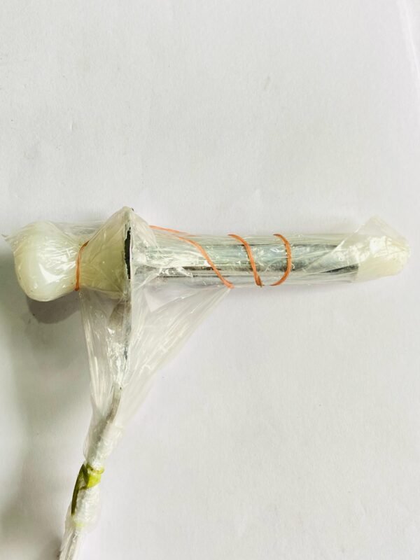 PRACTOSCOOP FULL CUT