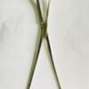 WhatsApp Image 2025-05-02 at 2.59.03 PM (1) HYSTERECTOMY CLAMP (CURVED)