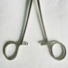 LANE TISSUE FORCEPS