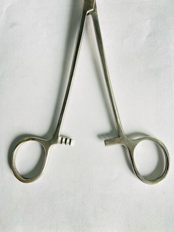 LANE TISSUE FORCEPS