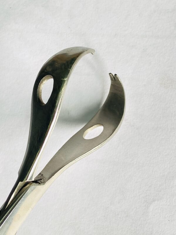 LANE TISSUE FORCEPS