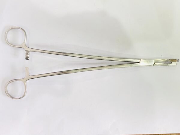 punch biopsy forceps