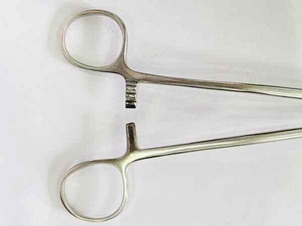 punch biopsy forceps