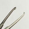 allis tissue forceps (single tooth)