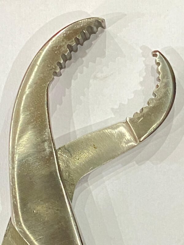 self -centring bone holding forceps