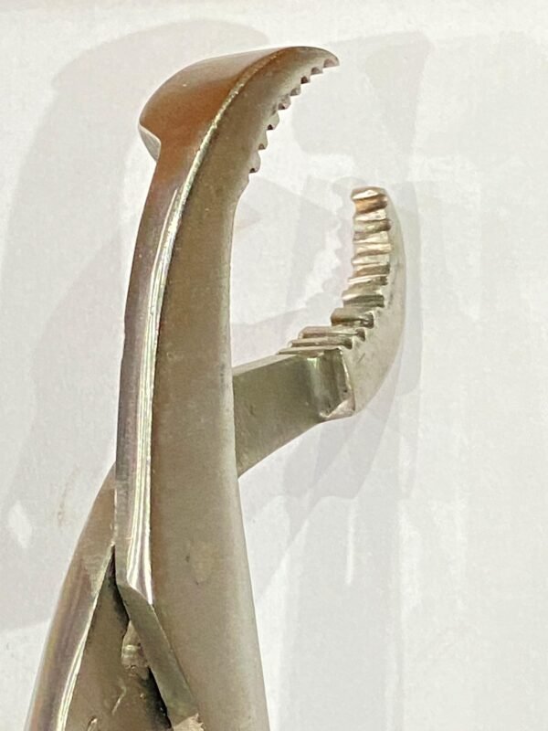 self -centring bone holding forceps