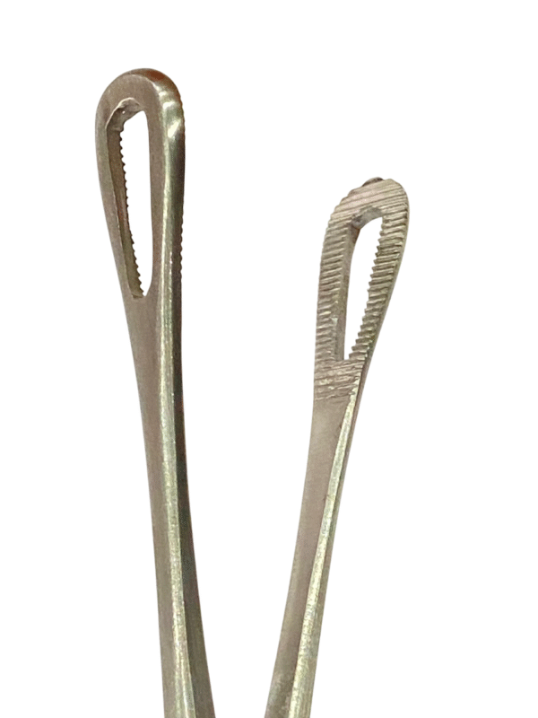 RAMPLEY SPONG HOLDING FORCEPS
