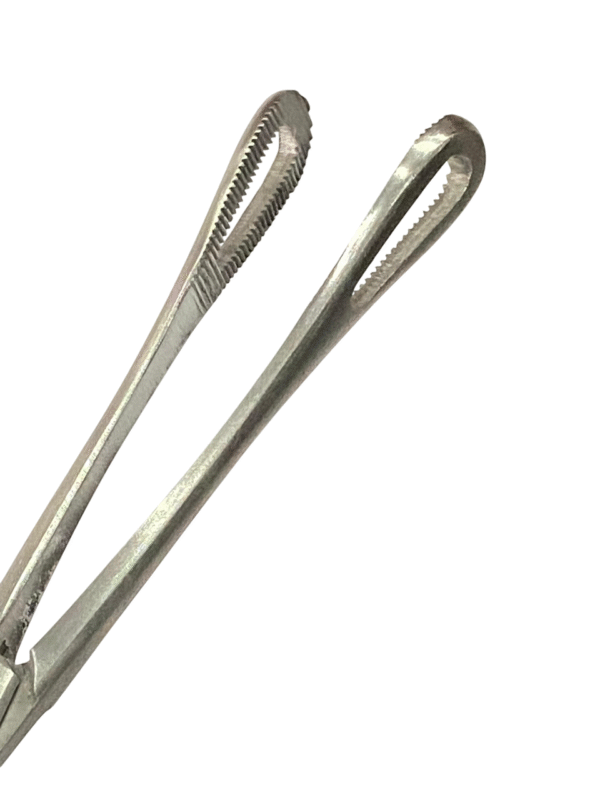 RAMPLEY SPONG HOLDING FORCEPS