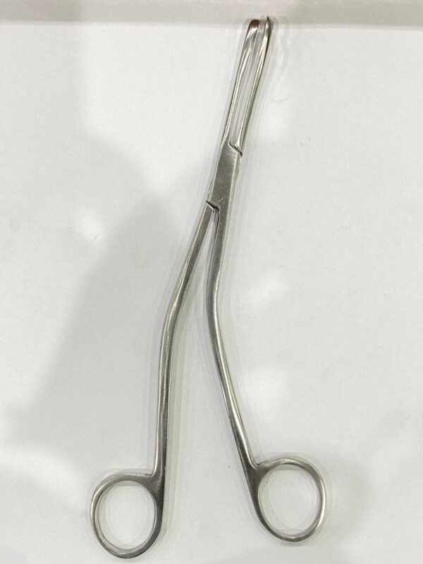 WhatsApp Image 2025-06-17 at 12.41.20 PM (1) DANIS BROWN