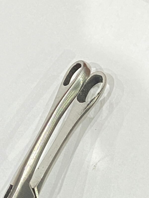 WhatsApp Image 2025-06-17 at 12.41.20 PM DANIS BROWN