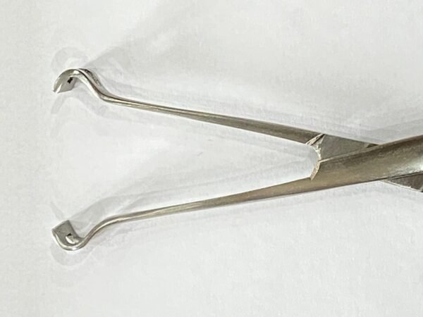 BABCOCK FORCEP