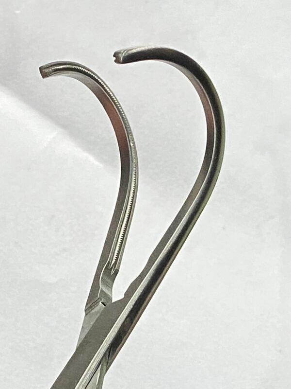 WhatsApp Image 2025-06-23 at 12.58.32 PM (2) CULLEY VASCULAR CLUMP