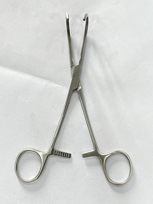 WhatsApp Image 2025-06-23 at 12.58.33 PM (1) CULLEY VASCULAR CLUMP