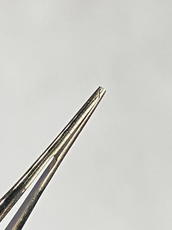 WhatsApp Image 2025-06-27 at 12.04.38 PM (2) BONE MICRO TYING FORCEP