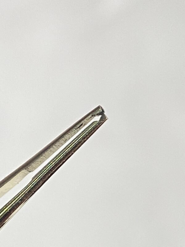 WhatsApp Image 2025-06-27 at 12.04.39 PM (1) BONE MICRO TYING FORCEP