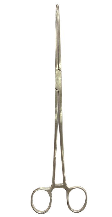 WhatsApp_Image_2025-06-23_at_12.58.29_PM-removebg-preview BONNY SPONGE