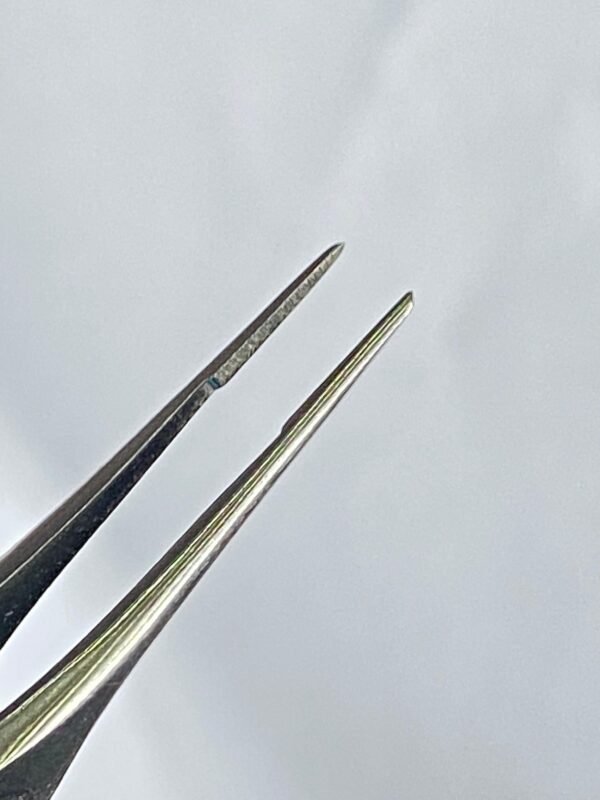 WhatsApp Image 2025-07-03 at 12.40.28 PM MICRO ADISON PLAIN