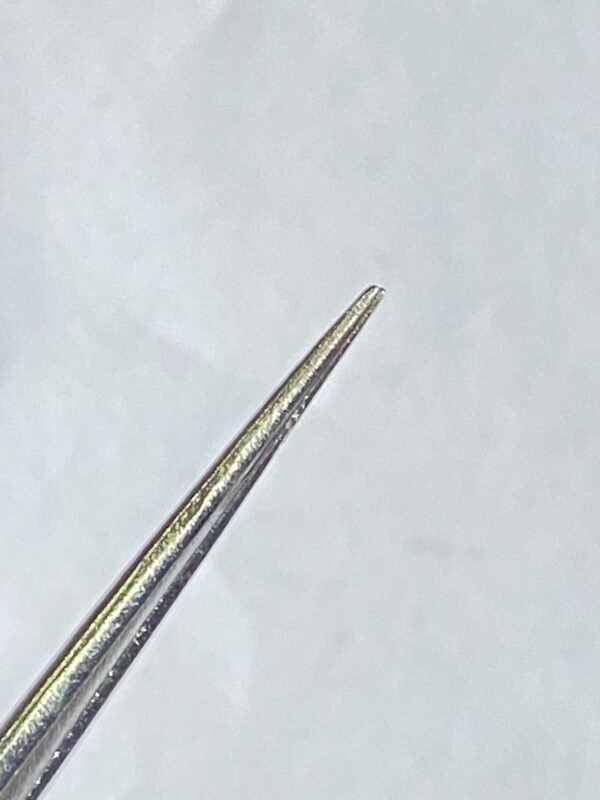 WhatsApp Image 2025-07-03 at 12.40.30 PM BAYONET FORCEPS FINE