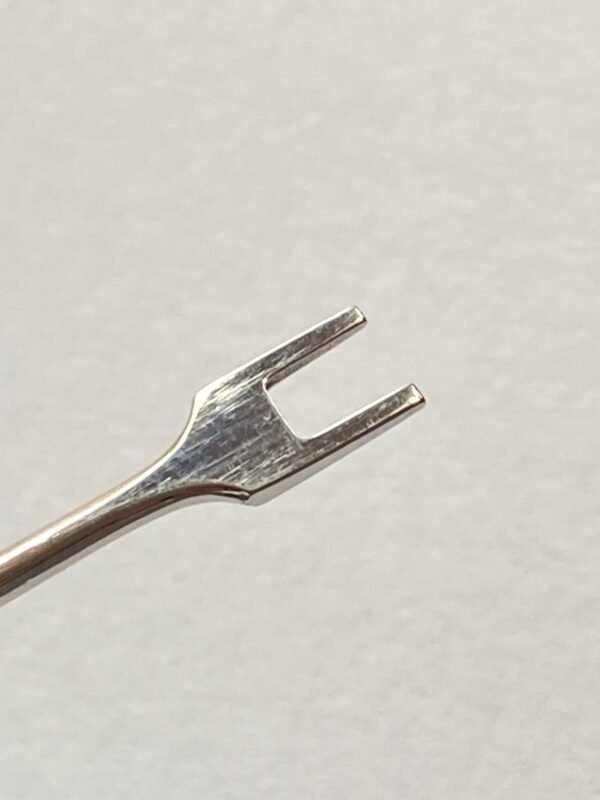 WhatsApp Image 2025-07-08 at 12.07.41 PM NIGUS NO TIE