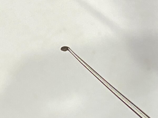 WhatsApp Image 2025-07-08 at 5.36.12 PM SICKKLE KNIFE