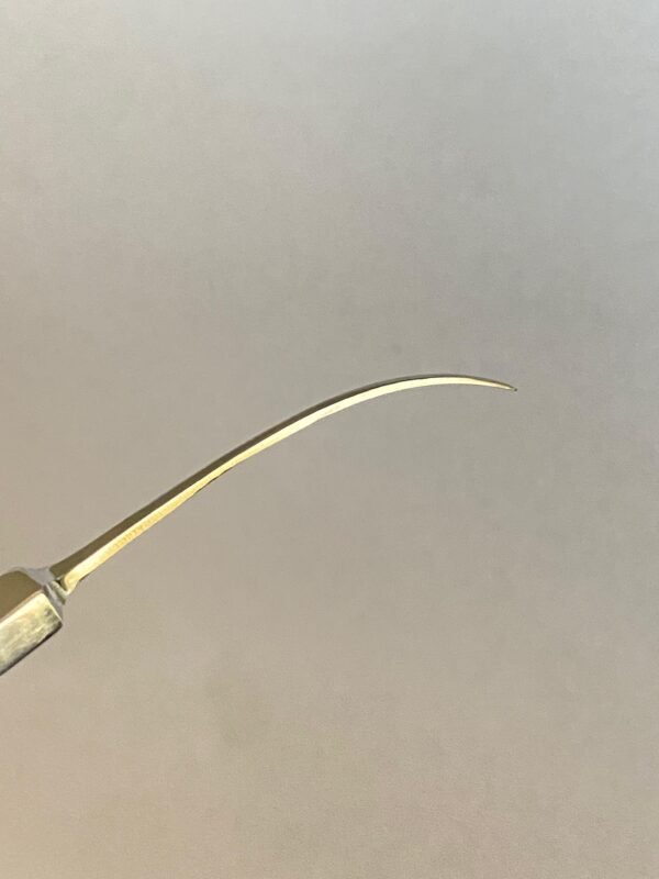 WhatsApp Image 2025-07-08 at 5.38.08 PM (1) IRIS REPOSITOR