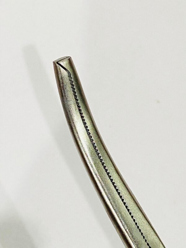 KOCHER FORCEP CVD E.P