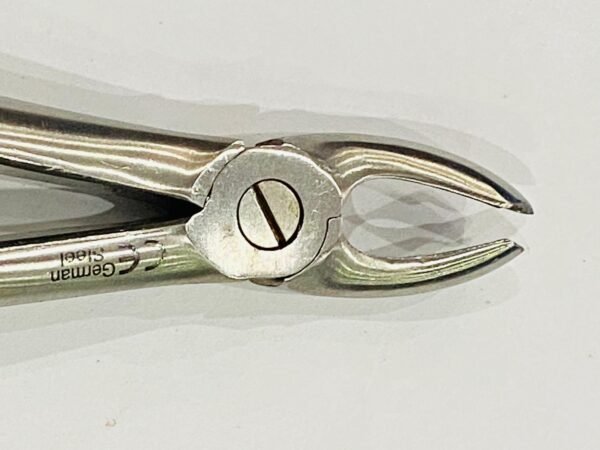 universal dental for loose