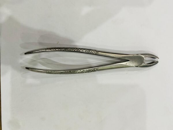 universal dental for loose